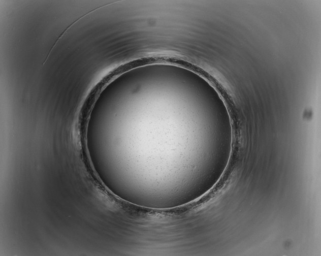 X0000102781022200808251110