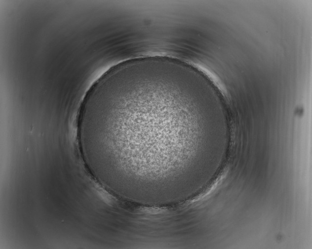 X0000102781023200808251110