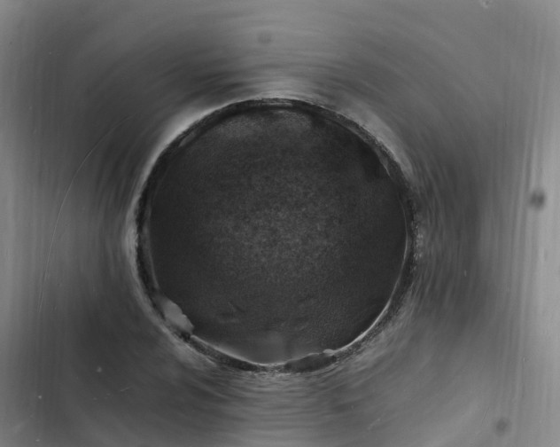 X0000102781024200808251110