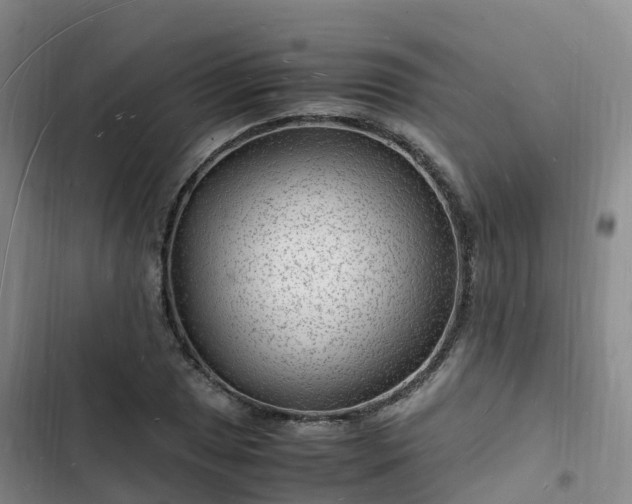 X0000102781025200808251110