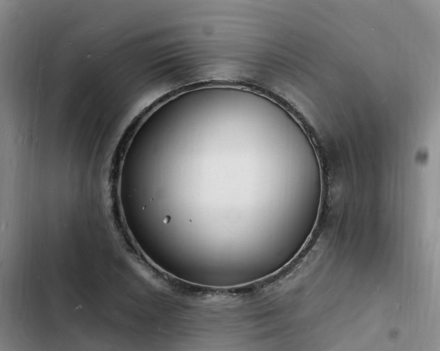 X0000102781026200808251111