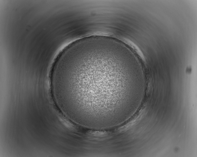 X0000102781027200808251111