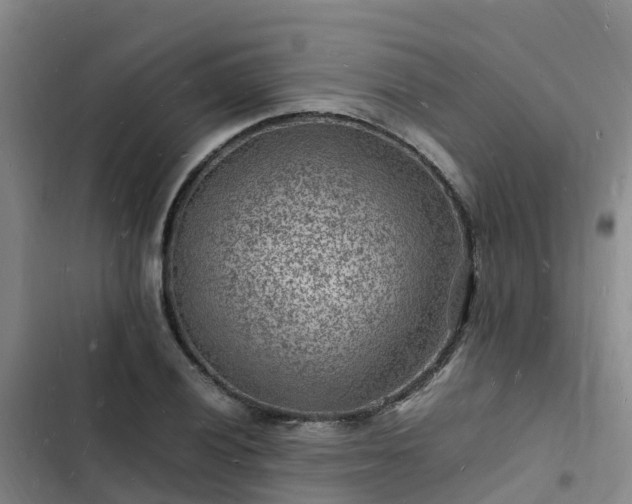 X0000102781028200808251111