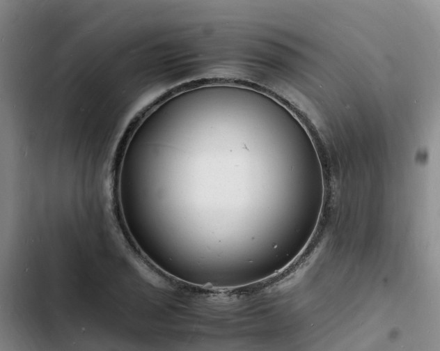 X0000102781029200808251111