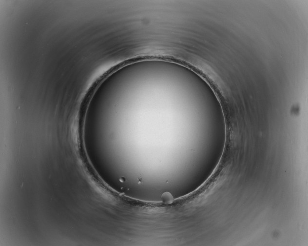 X0000102781030200808251111