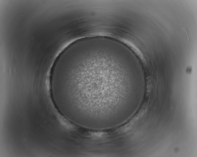 X0000102781031200808251111