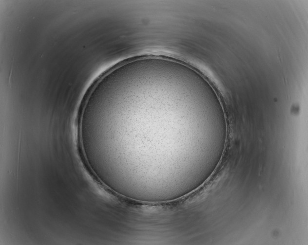 X0000102781032200808251111