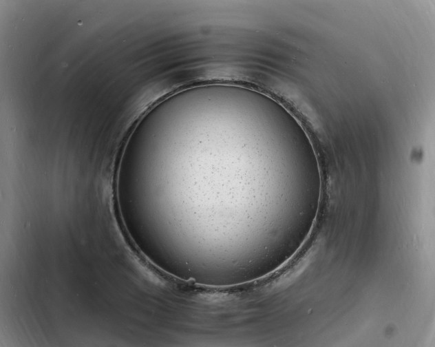 X0000102781033200808251111