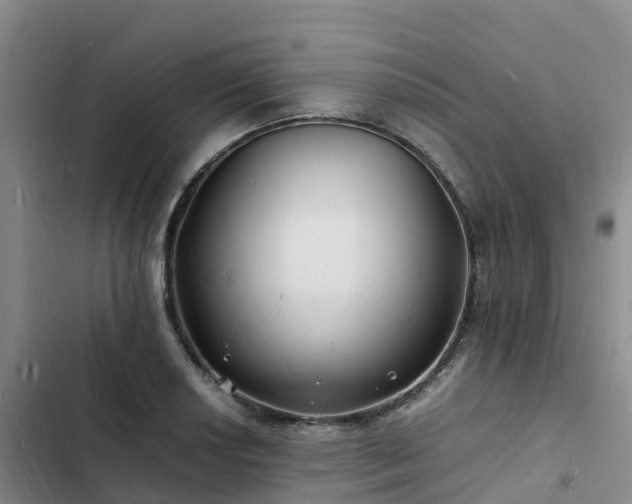 X0000102781034200808251111