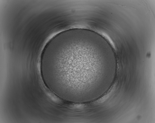 X0000102781035200808251111