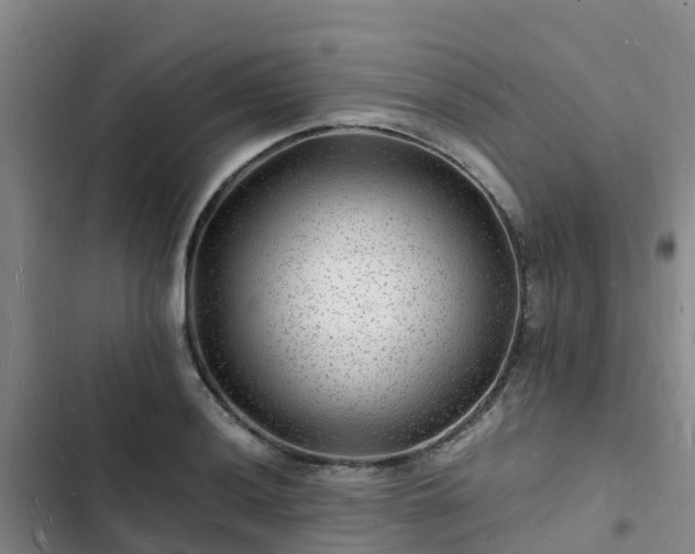 X0000102781036200808251111