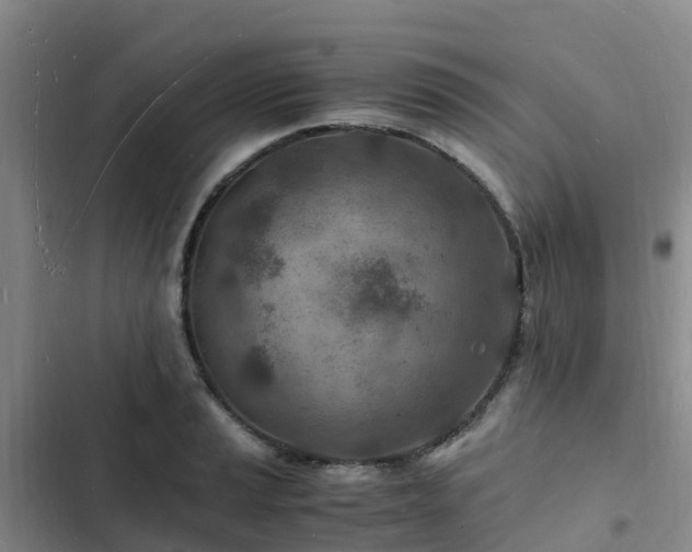 X0000102781037200808251111