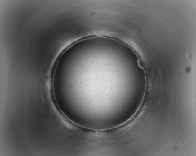 X0000102781040200808251111