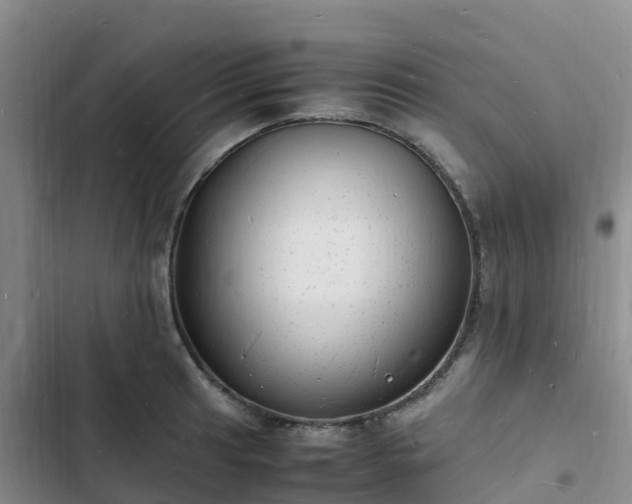 X0000102781041200808251111