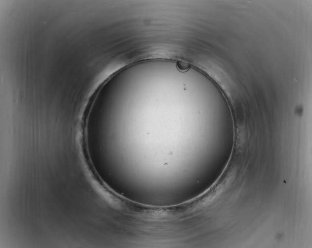 X0000102781042200808251111