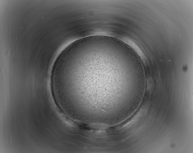 X0000102781043200808251111