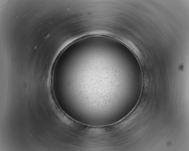 X0000102781044200808251111