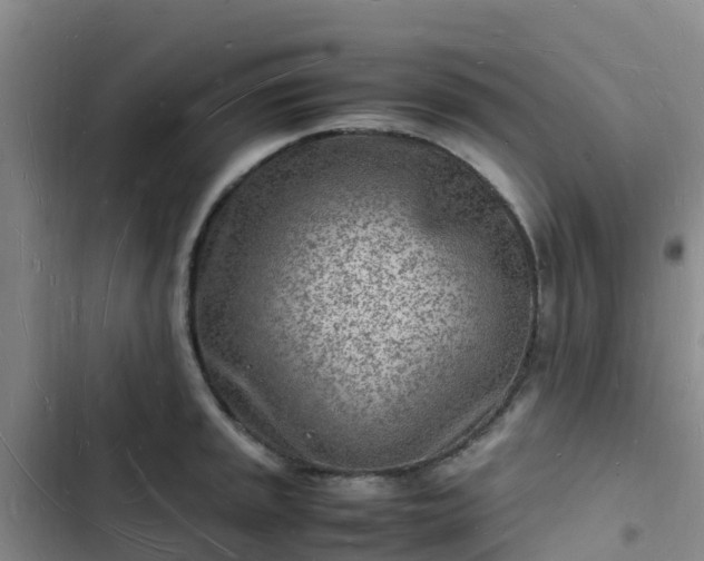 X0000102781045200808251111