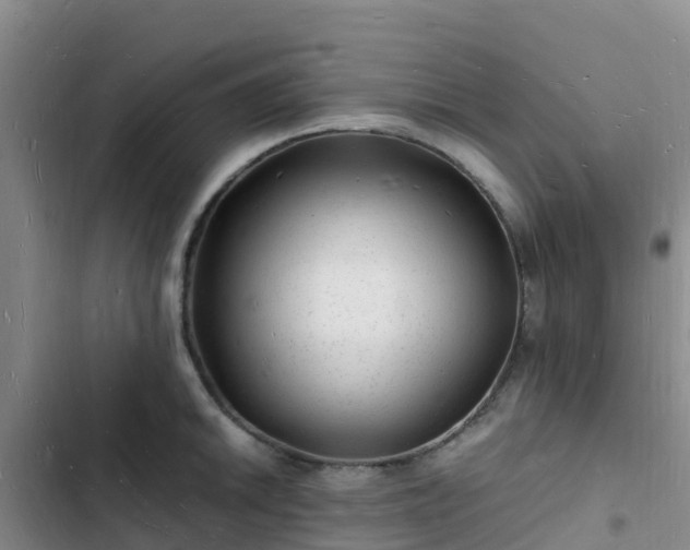 X0000102781046200808251111