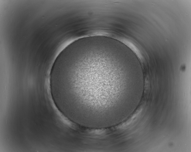 X0000102781047200808251111