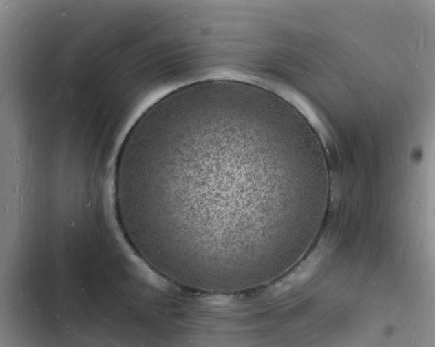 X0000102781048200808251111