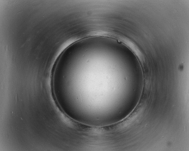 X0000102781050200808251111