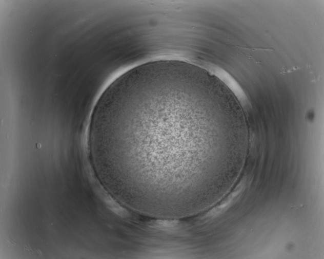 X0000102781052200808251111