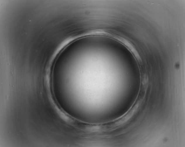 X0000102781054200808251111