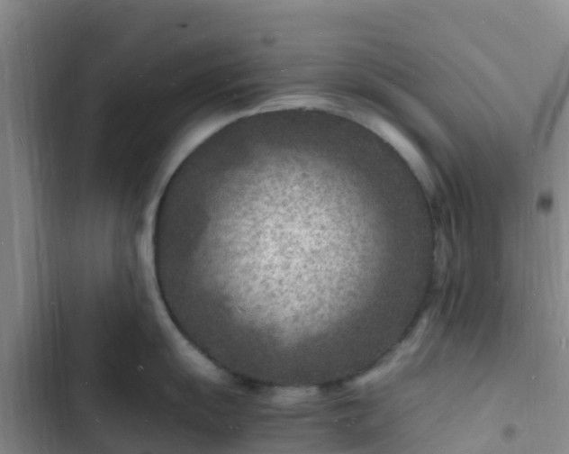 X0000102781055200808251111