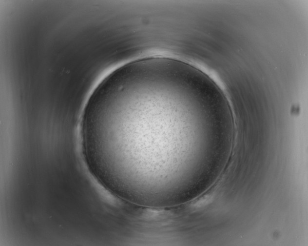 X0000102781056200808251111