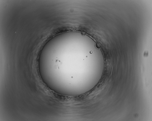 X0000102781057200808251110