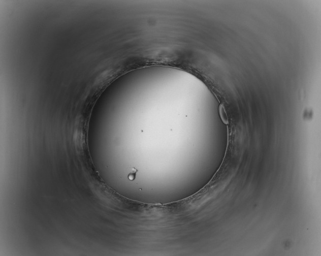 X0000102781058200808251110