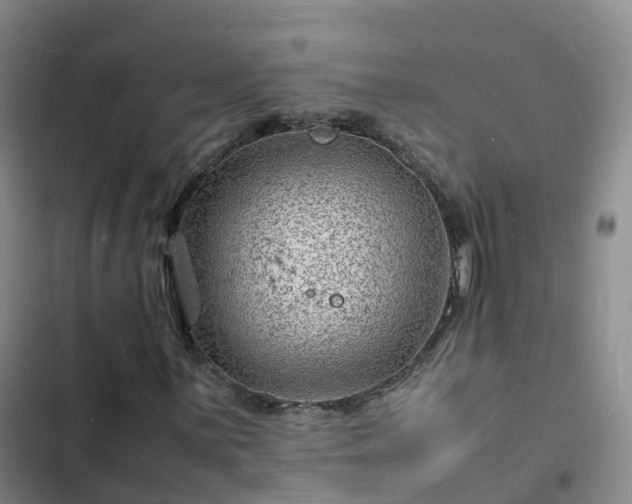 X0000102781059200808251110