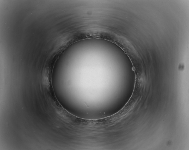 X0000102781060200808251110