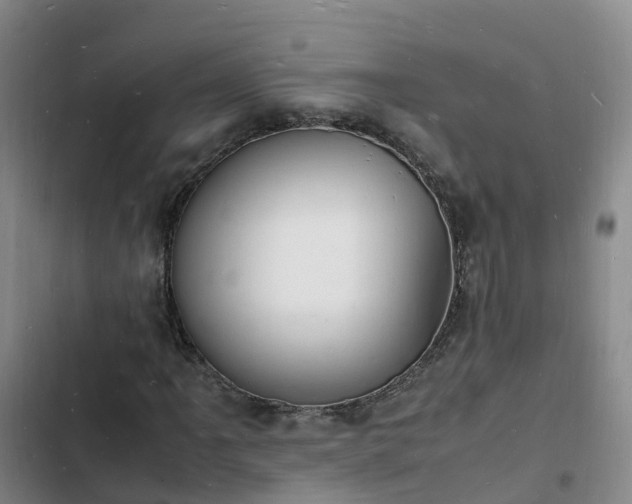 X0000102781061200808251110