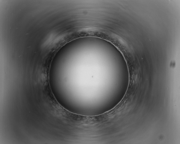 X0000102781062200808251110