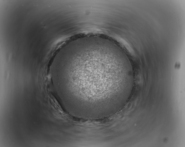 X0000102781063200808251110