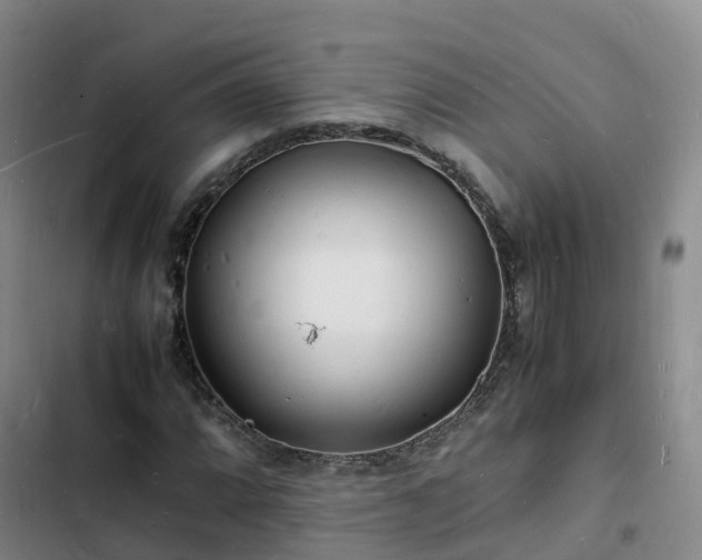 X0000102781064200808251110