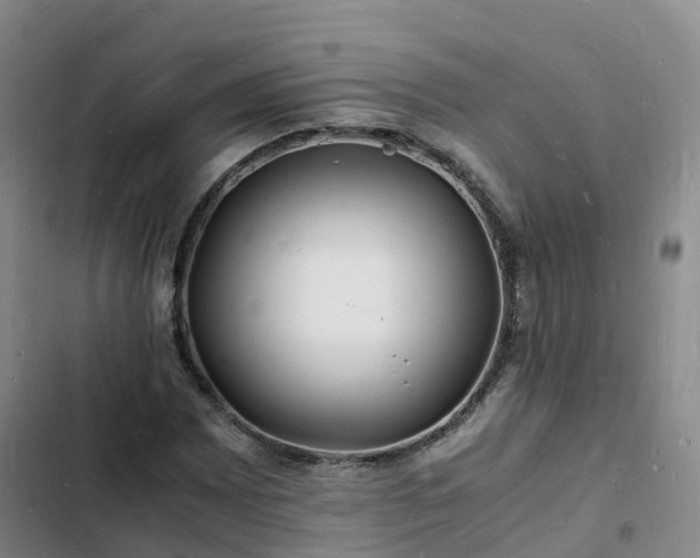 X0000102781065200808251110