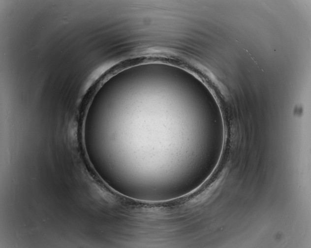 X0000102781066200808251110