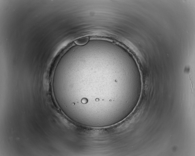 X0000102781067200808251110