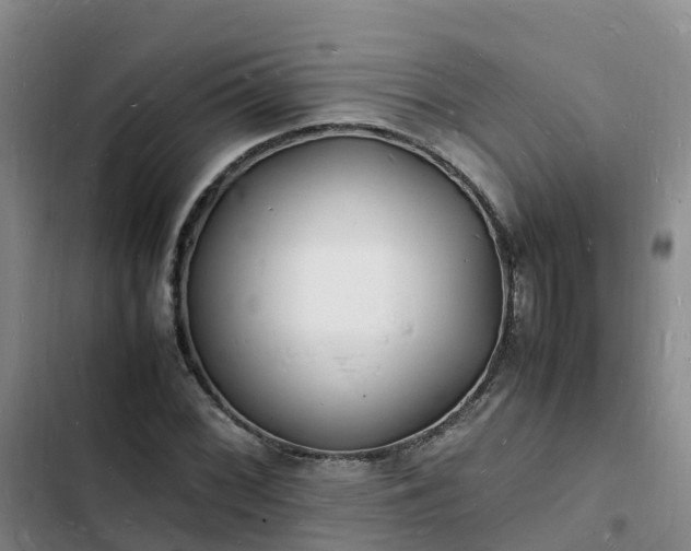 X0000102781068200808251110