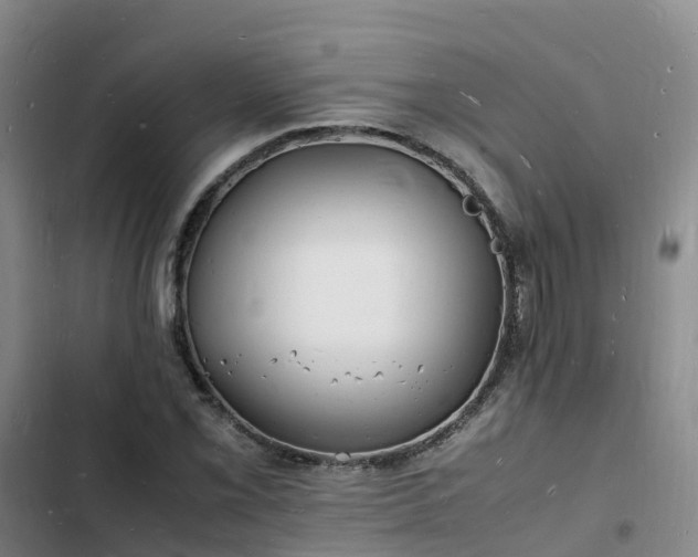 X0000102781069200808251110