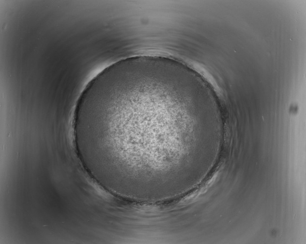 X0000102781071200808251110