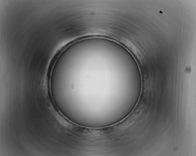 X0000102781072200808251110