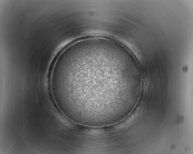 X0000102781074200808251110