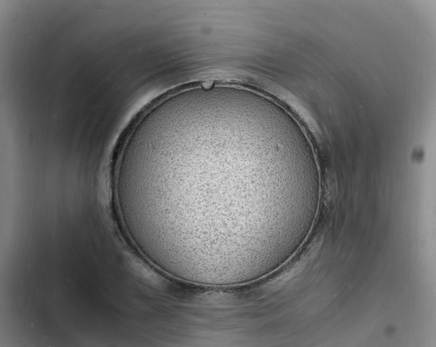 X0000102781075200808251110