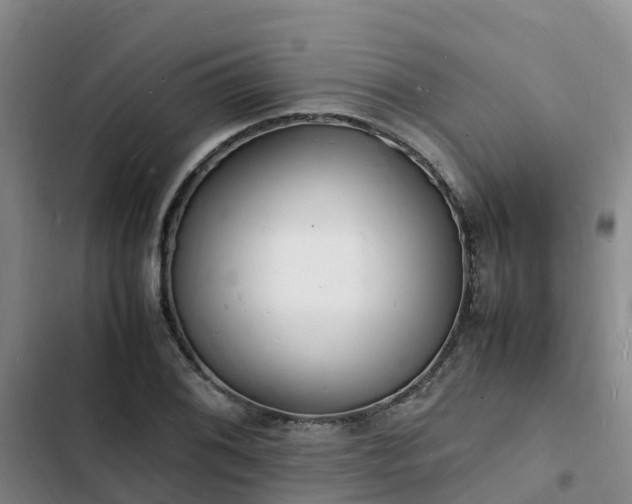 X0000102781076200808251110