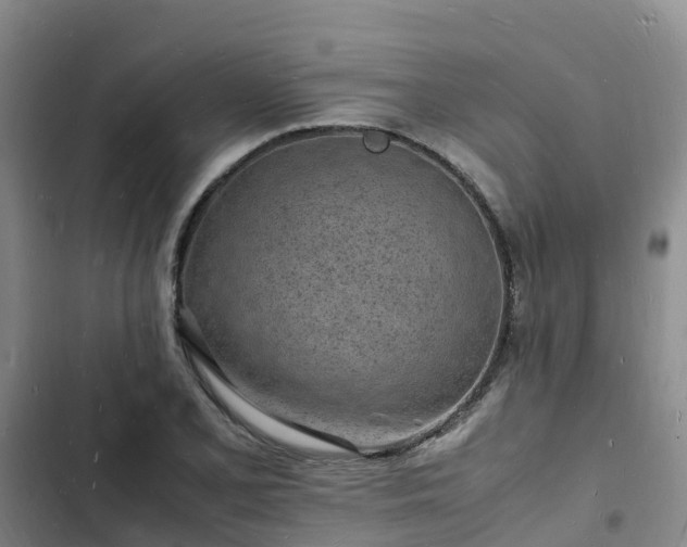 X0000102781077200808251110