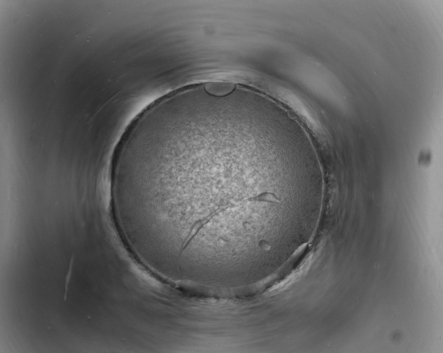 X0000102781079200808251110